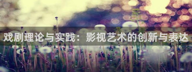 窝窝网电影电视剧大全在线观看