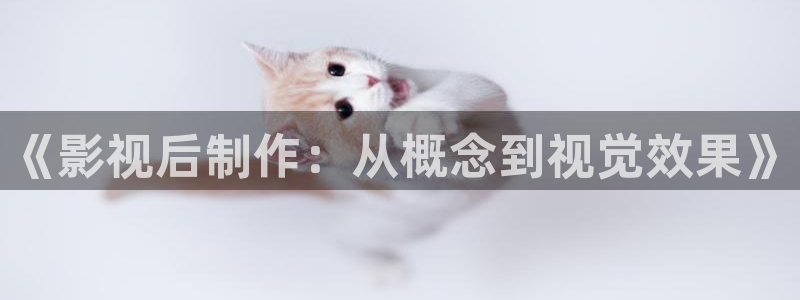 窝窝影视午夜：《影视后制作：从概念到视觉效果》