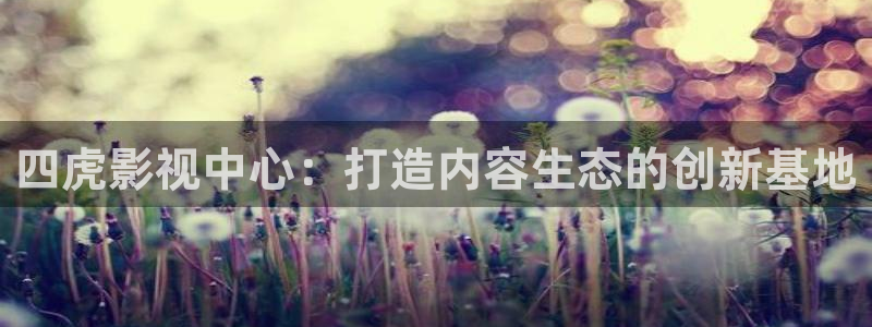 窝窝晚上看视频：四虎影视中心：打造内容生态的创新基地