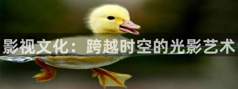 窝窝免费高清电影：影视文化：跨越时空的光影艺术