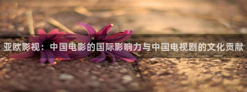 窝窝影院电视剧全集免费